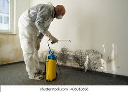 Why You Should Choose Our Mold Remediation Services in Vista Santa Rosa, CA